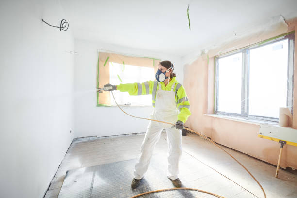 Best Attic Mold Removal  in Choctaw, OK