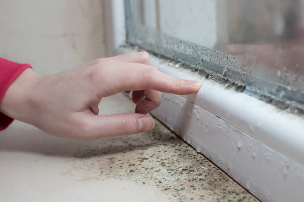 Best Airborne Mold Testing  in Choctaw, OK