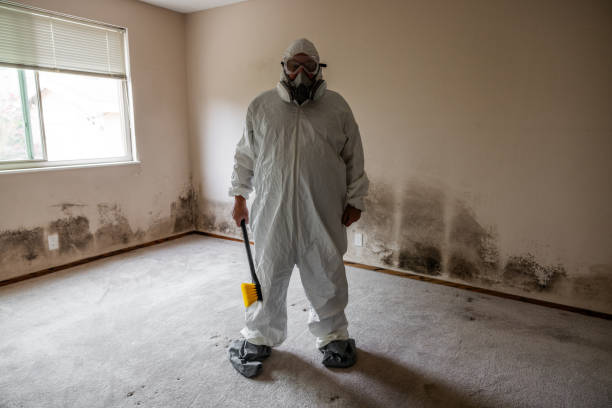 Best Forensic Mold Investigation  in Choctaw, OK